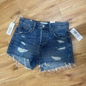 ARITZIA Denim Forum Ex Boyfriend Short